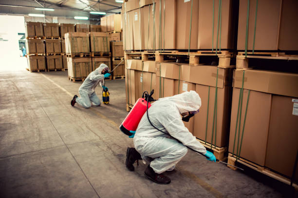 Best Best Pest Control Companies  in Ignacio, CO