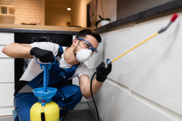 Professional Pest Control in Ignacio, CO