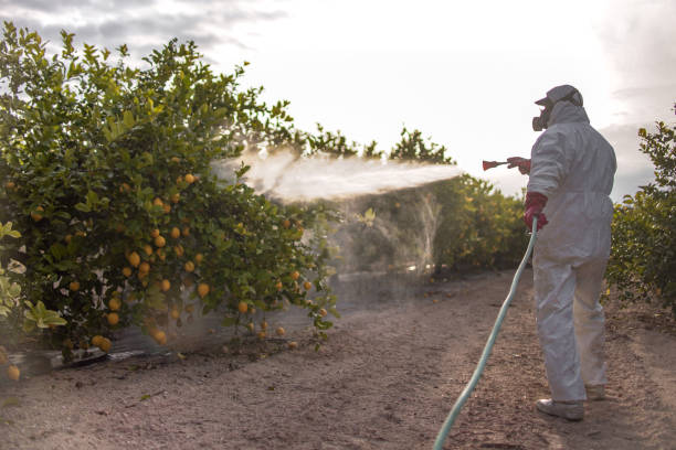 Best Pest Prevention Services  in Ignacio, CO