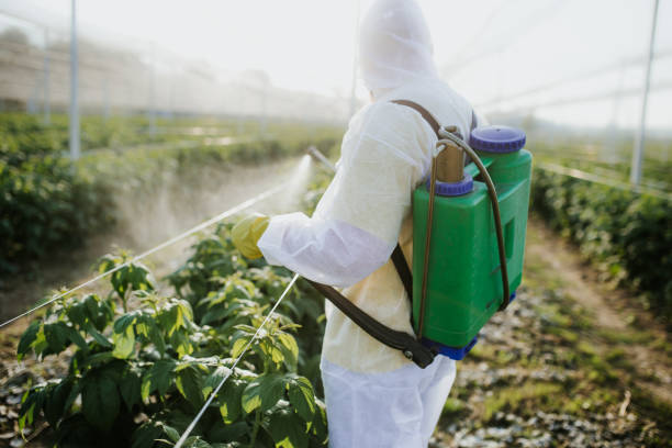 Best Commercial Pest Control Services  in Ignacio, CO